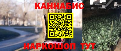 гашик Новозыбков