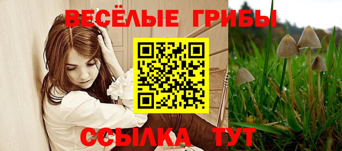 Галлюциногенные грибы мицелий Строитель